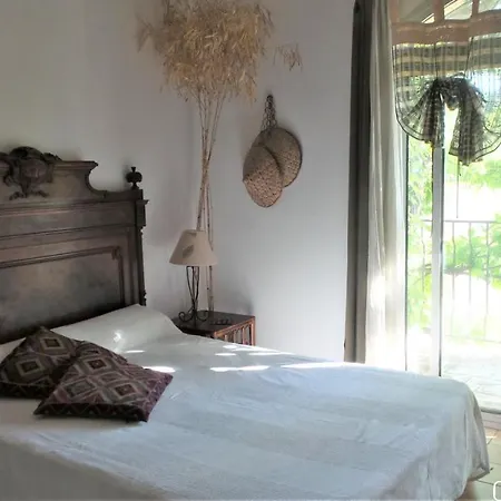 Chambres D'hotes Au Vieux Cypres Bed & Breakfast