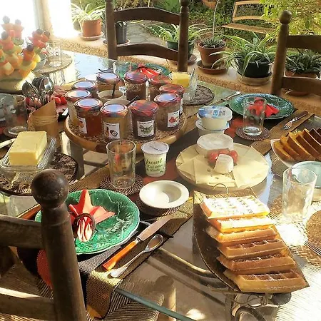 Bed & Breakfast Chambres D'hotes Au Vieux Cypres Laverune